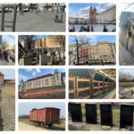 Sur les traces de la Shoah à Auschwitz et Cracovie